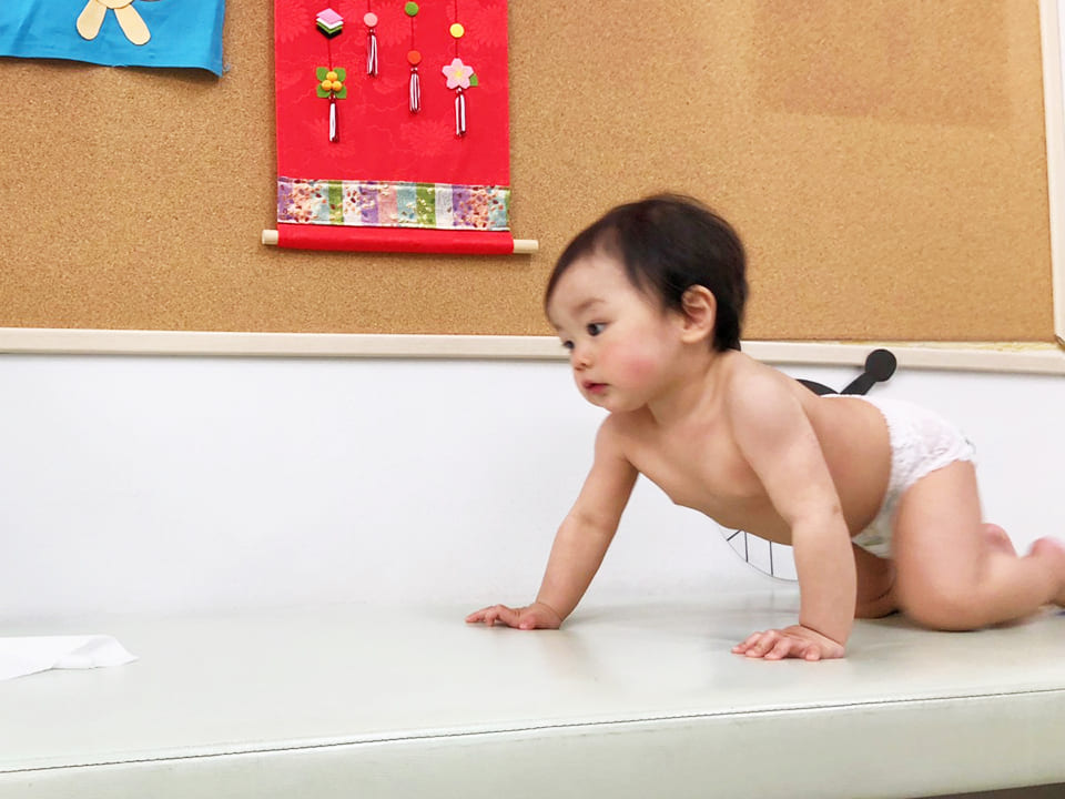 7か月(移動運動の確認)